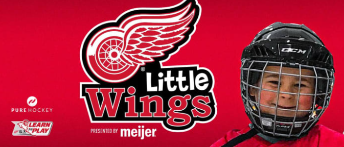 Little Wings